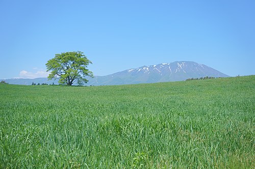 Iwate Prefecture